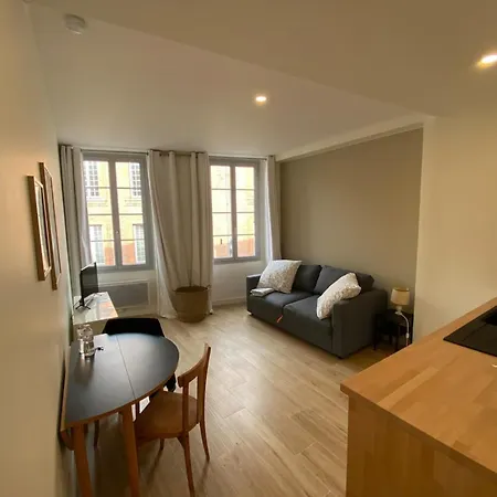 Apartment In Toulhouse Toulouse